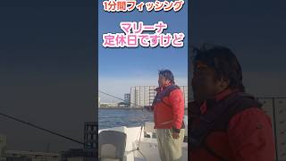 アジの釣果写真