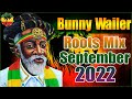 Bunny Wailer Greatest Hits 2022 The Best Of Bunny Wailer 2022
