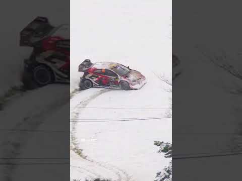 Stress level: elevated 📈