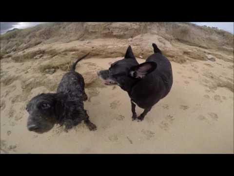 Chinaman's Hat! Peanut Butter Jelly, Galantis