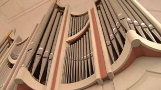 Scotty Orgel Dreikönigskirche