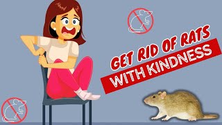 How To Get Rid Of Rats Without Killing Them??Evicting Rats the Humane Way
