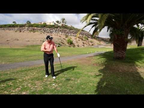 QuickTipp Flach unter Ästen