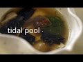 How To Make David Kinch's Iconic California Dish, Tidal Pool