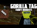 GORILLA TAG FUNNY MOMENTS - crates edition- fan lobby.