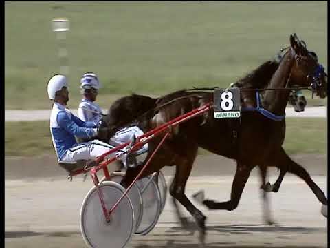 Trotto 20/06/2019 - 1ª corsa