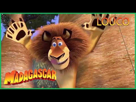 Capa de DreamWorks Madagascar em Português | Alex Louco! | Madagascar Melhores Momentos | Desenhos Animados