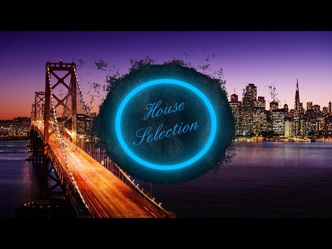 Tom Swoon, Belle Humble & DANK - Phoenix (We Rise)