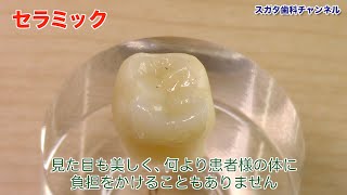 医療法人社団　スガタ歯科医院