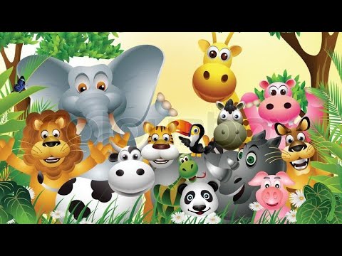 beautiful nature#animals lion,tiger,cow,fox#nosheen