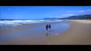 Santana I&#39;m Feeling You - Feat. Michelle Branch