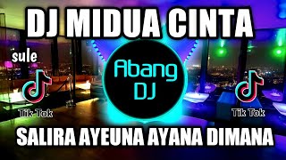 Download lagu DJ SALIRA AYEUNA AYANA DIMANA REMIX VIRAL TIKTOK TERBARU 2022 MIDUA CINTA mp3