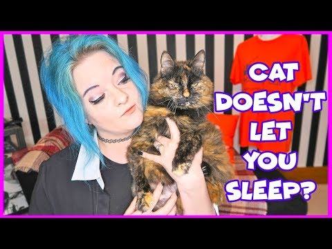 How To Teach Your Cat To Let You Sleep! What To Do If Your Cat Wakes You Up At Night