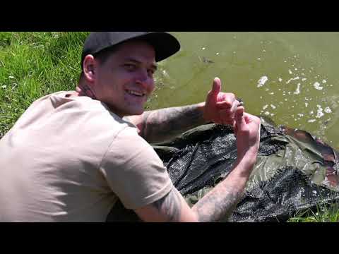 Stalking a bread bomb