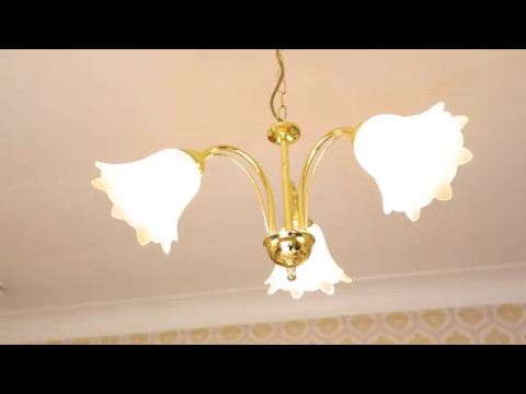 25 Matipo Street, Mount Eden