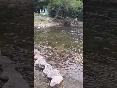 La Granja, balneario la toma en la pcia de Córdoba 🥰 #rutasypaisajes #travel #nature