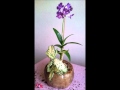 Do it yourself Orchid Arrangement