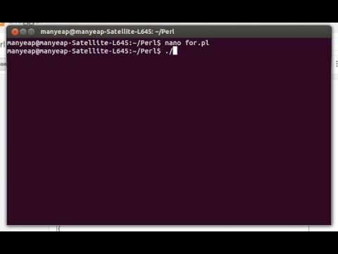 Perl For Loop Example