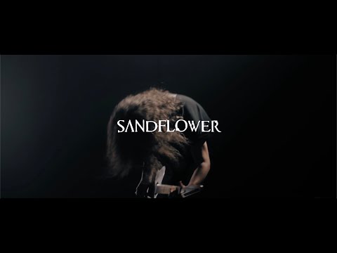 video frame placeholder