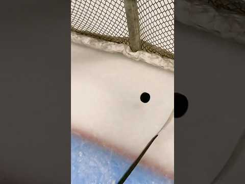 He Stole His Brother's Goal 🤬