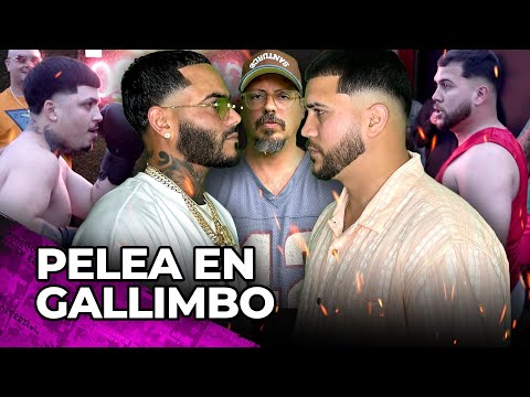SE PUSIERON LOS GUANTES!! GALLO VS JAVI ACICALE Y FLOW BARBER