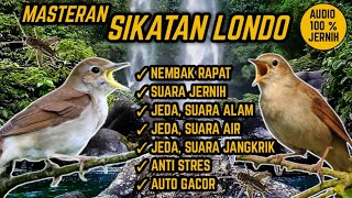 Download lagu SUARA MASTERAN SIKATAN LONDO NEMBAK RAPAT ! JEDA, TERAPI AIR & ALAM. ANTI STRES ! mp3 Download lagu SUARA MASTERAN SIKATAN LONDO NEMBAK RAPAT ! JEDA, TERAPI AIR & ALAM. ANTI STRES ! mp3