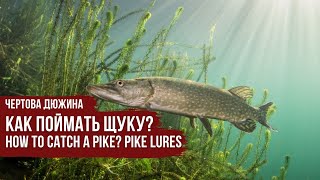 Передачи о рыбалке от братьев щербаковых