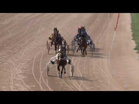 2019.08.24. 02. futam - 2019. ÉVI AMATŐR KUPA VIII. FUTAMA DÍJ