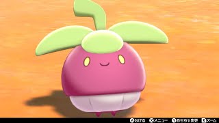 【実況】『ポケモンソード』 をまったりプレイ！ ＃７