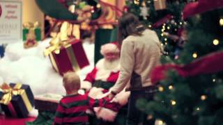 Put the Lights on the Tree HD