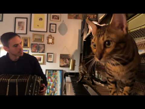 Softly – A Dreamlike Waltz by Claudio Constantini