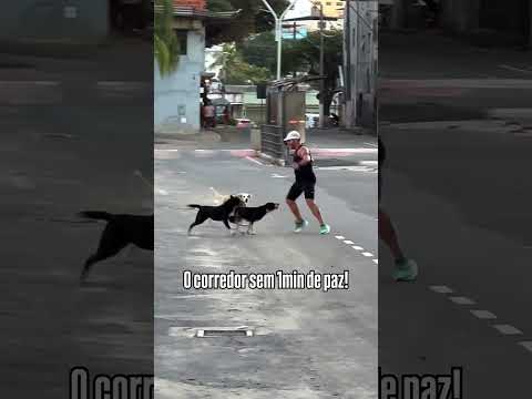 Special Tool for Animals of China!