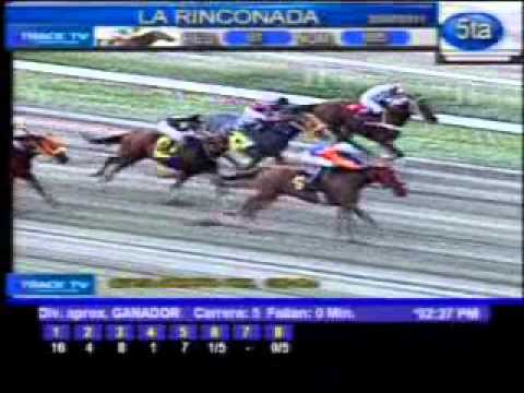 Sábado, 30 de Julio de 2011 - La Rinconada