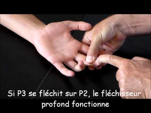 comment renforcer ses phalanges