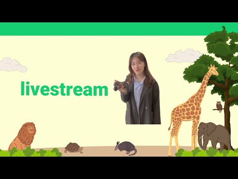 Phồn Hoa Gaming Live Stream The girl used to be gentle and kind, the girl now just loves games