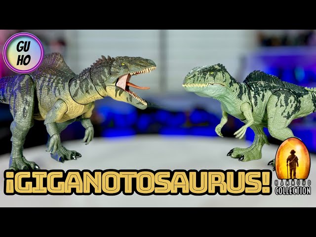 Vídeo relacionado con Mattel Jurassic World Mordisco colosal Giganotosaurus Figura con Ataque en múltiples direcciones, 71,1 cm de Largo y Cuerpo articulado, Control de Las púas traseras, JKG93