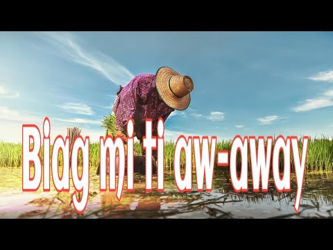 Biag mi ti aw-away (Kinnayo ken kinnammet) #ilocanomelodyofficial