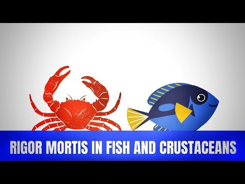 Rigor Mortis pt 2 : "Comparative Analysis between True Fish and Crustaceans