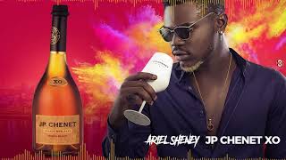 TÉLÉCHARGER ARIEL SHENEY PINGOUIN MP3 GRATUITEMENT PINGOUIN MP3 GRATUITEMENT SHENEY TÉLÉCHARGER ARIEL