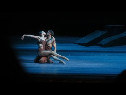 Maria Vinogradova & Ivan Vasiliev - Spartacus Pdd - Bolshoi Feb 2014