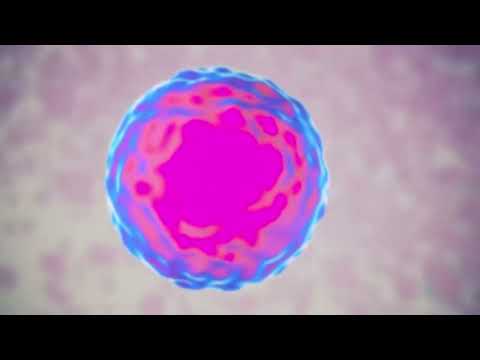 Unlocking the Future of Regenerative Medicine in Monterrey, Mexico– Advanced Stem Cell Therapy