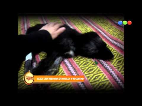 Aleli, una historia de fuerza y voluntad - Diversion Animal