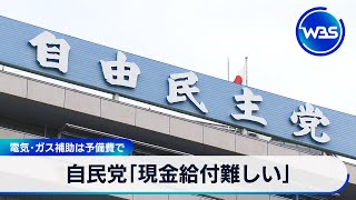 自民党「現金給付難しい」　電気･ガス補助は予備費で【WBS】