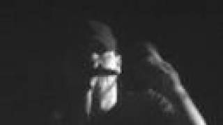 DRY KILL LOGIC PAPER TIGER