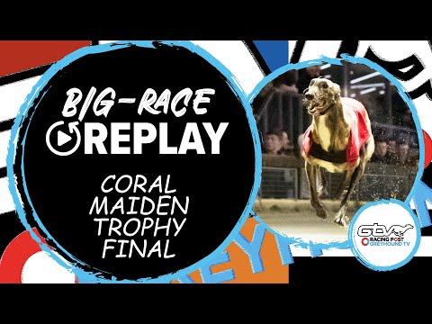 2023 Coral Maiden Trophy Final - Gunboat Wichita | Greyhound Race Previews Reviews | 2023 Big Finals