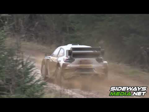 M SPORT PUMA - MALCOLM WILSON STAGES 2023