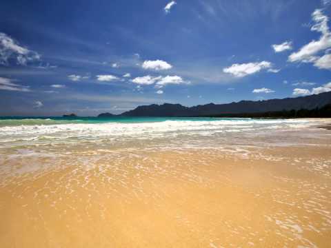 Envotion Feat Laura Camilla - Vessel Of Poison (Original Mix)