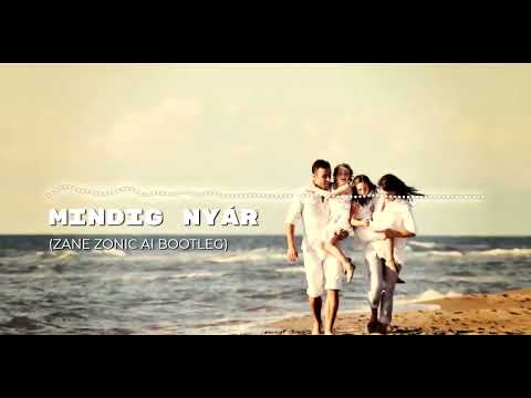 Zoli Vekony x Calidora - Mindig nyár (Zane Zonic AI Bootleg)
