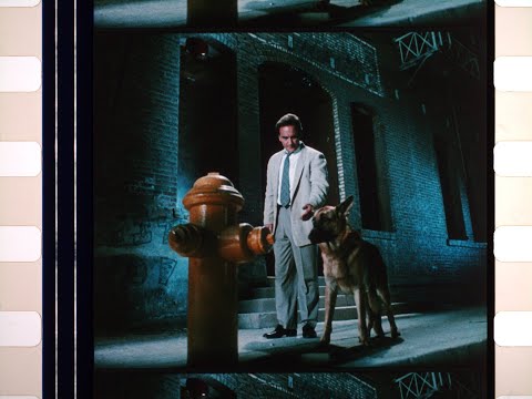 K-9 (1989), 35mm film trailer, flat open matte 1.17:1 ratio 2544x2160, scanned with a Gugusse Roller