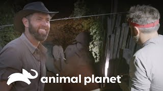 Thumbnail del capítulo